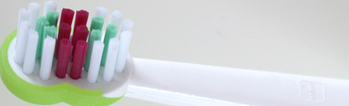 Bild 1 von Dr. Alexandra Orgler-Belohlavek