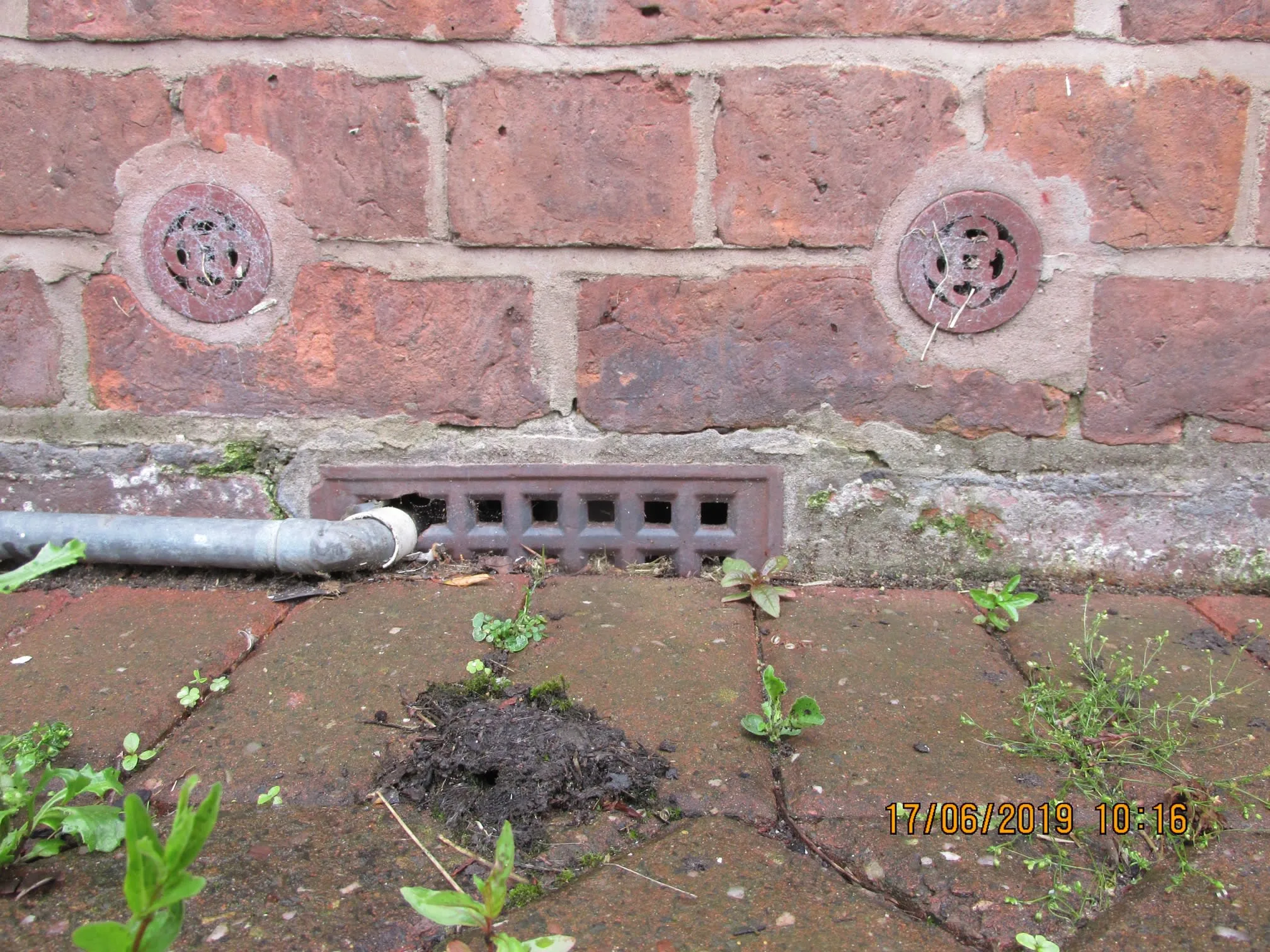 Images Damp Detectives