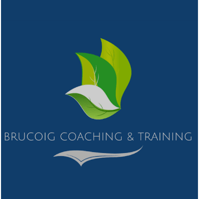 Brucoig Coaching and Training Logo