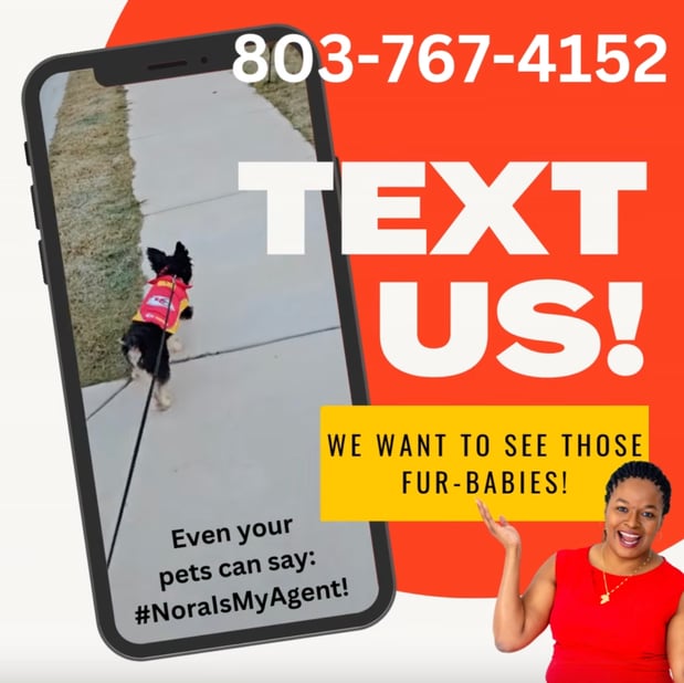 Images Nora Hubbard - State Farm Insurance Agent