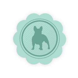 puppy socialization near me family puppies coupons near me in 8coupons puppy socialization near me family puppies coupons near me in 8coupons