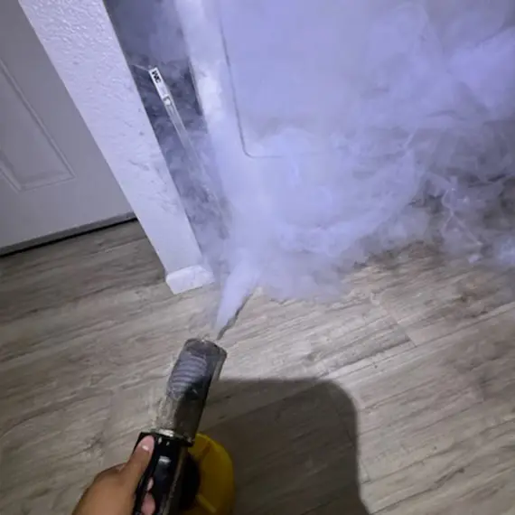 Fumigación Márquez