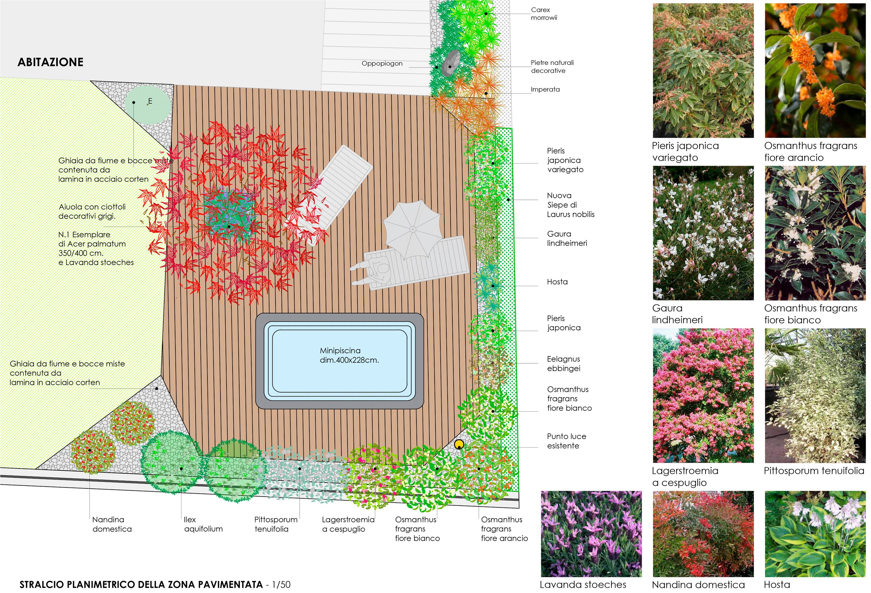 Bilder Forni Fabio SAGL