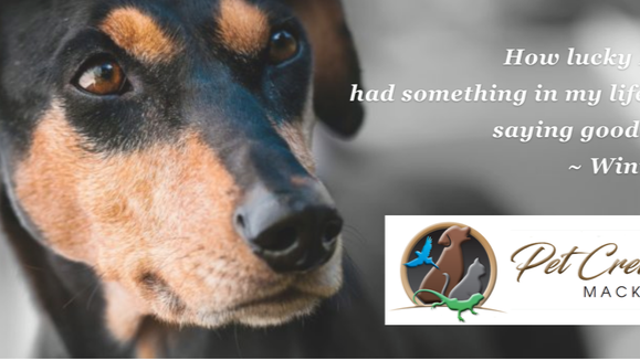 Images Mackay Pet Cremations