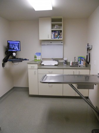 Images VCA Westside Animal Hospital