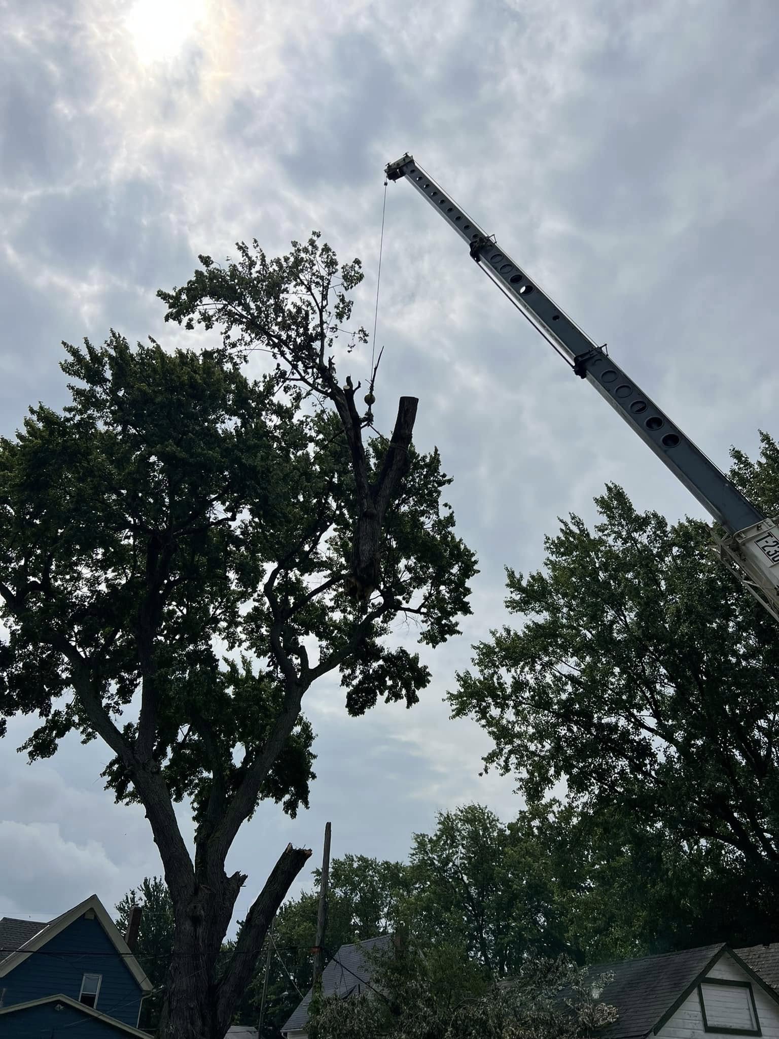 Lucca Landscaping & Construction LLC provides safe and efficient tree removal services to help protect your property and maintain a clean, open landscape. Whether due to damage, disease, or space planning, we handle each removal with precision and care. Our team is committed to completing every job with minimal disruption and maximum safety. You can count on us for professional service that gets the job done right.