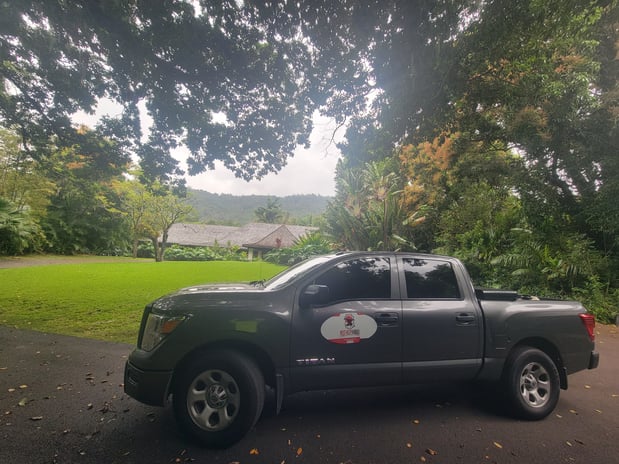 Images PEST HELP HAWAII