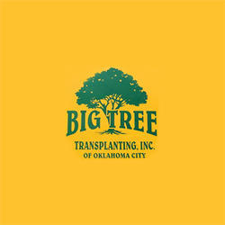 Big Tree Transplanting Logo