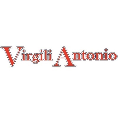 Autospurgo Virgili Antonio Logo