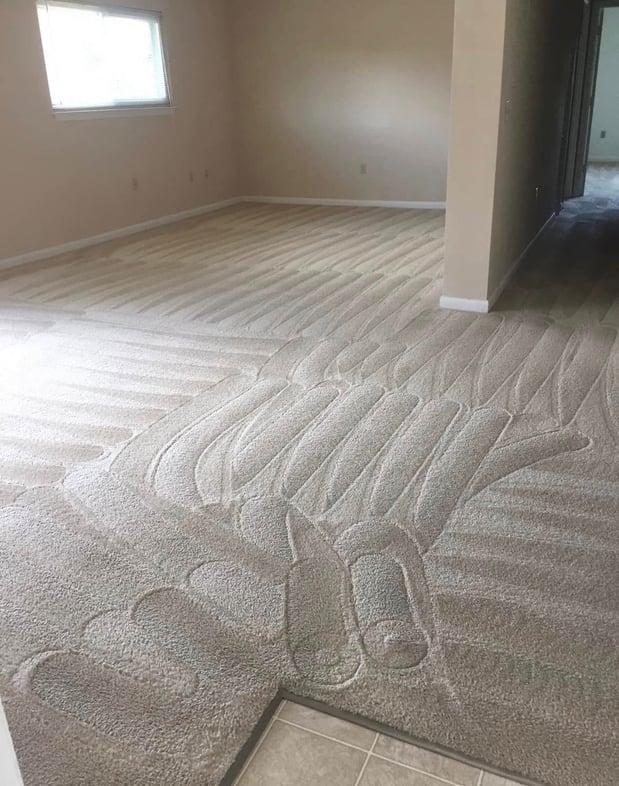 Images HD Carpet Restoration & Home Care Specialist