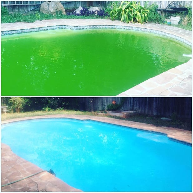 Images South Texas Pool Tile Cleaning