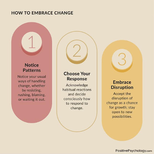Images Pacific Bay Recovery San Diego