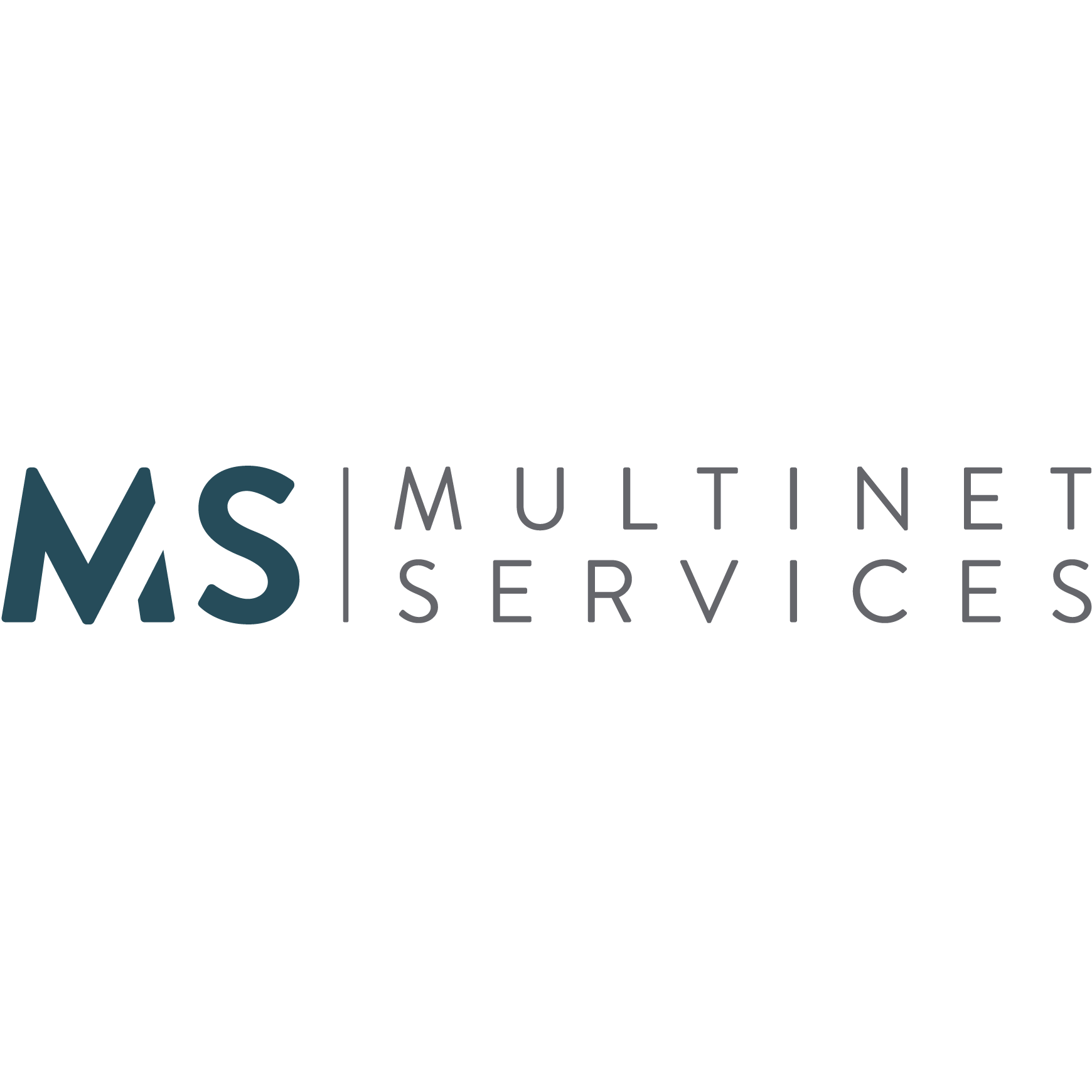 Multinet Services SA Logo