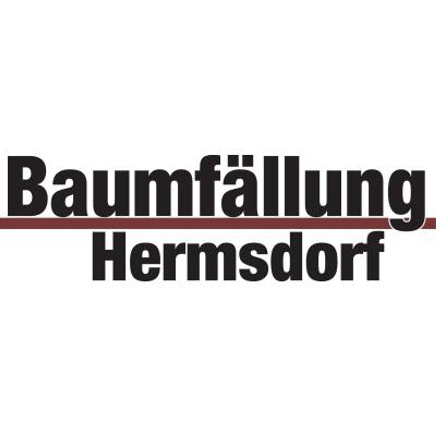 Bernhard Hermsdorf Baumfällungen in Plauen