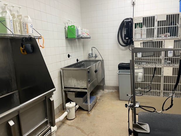 Images Petco