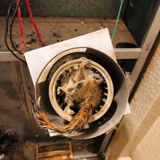 Images First Choice Heating & Air
