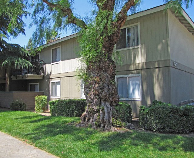 Courtyard at Central Park Apartments Photo