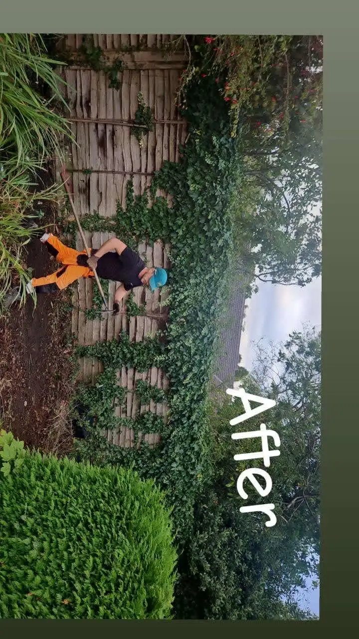 Images PG Garden Maintenance