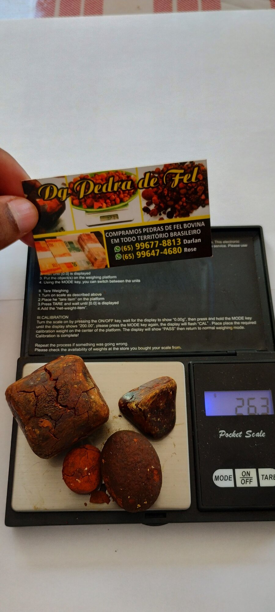 Images Dg pedras de fel bovinos