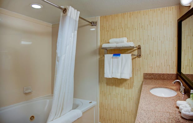 Images Holiday Inn Express & Suites Tyler South by IHG