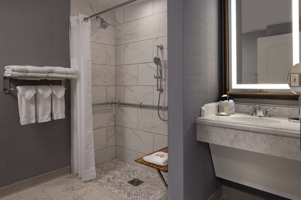 Images The Hotel Roanoke & Conference Center, Curio Collection by Hilton
