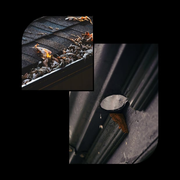 Images D&D Gutter Service
