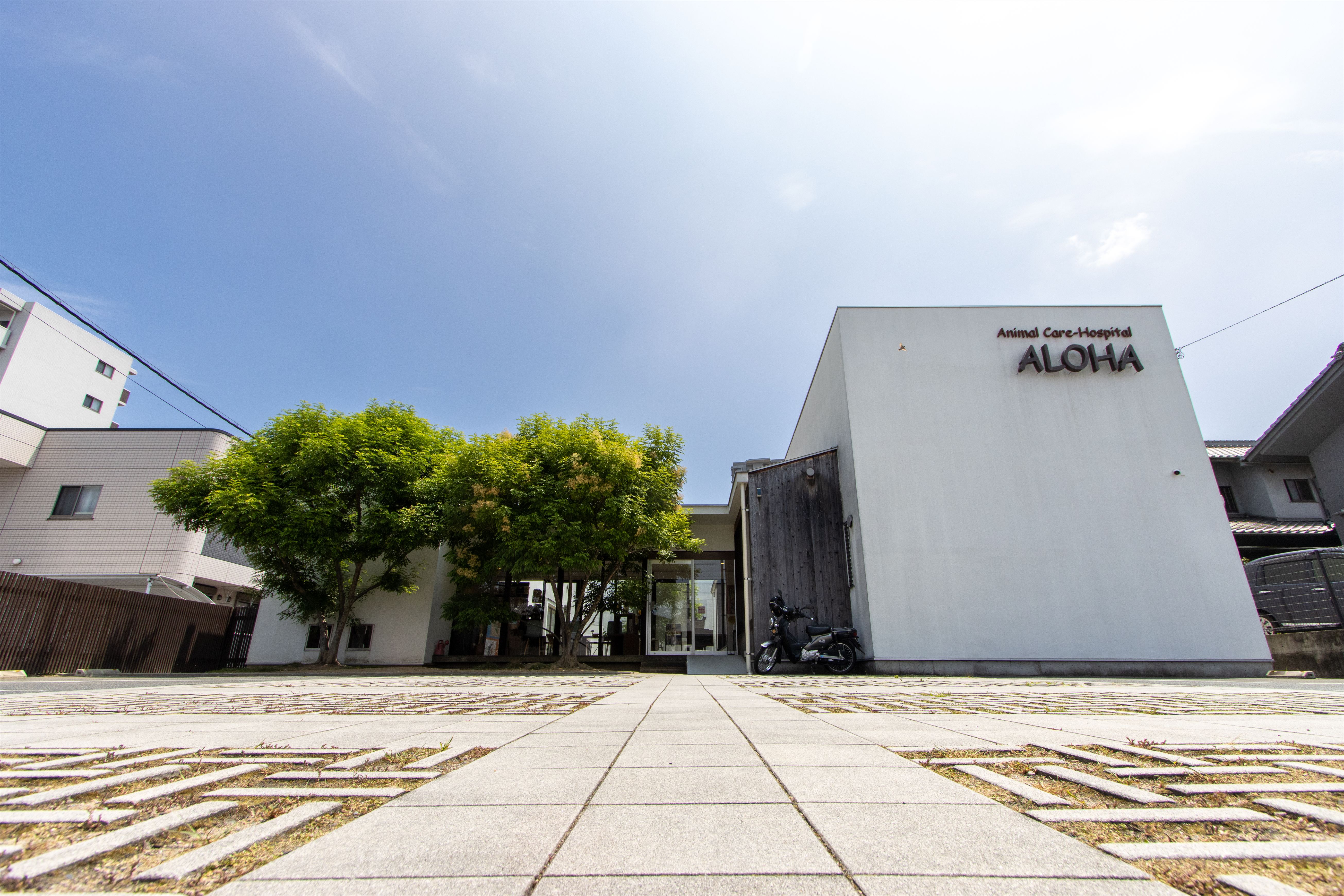 Images 動物医療センター・ALOHA