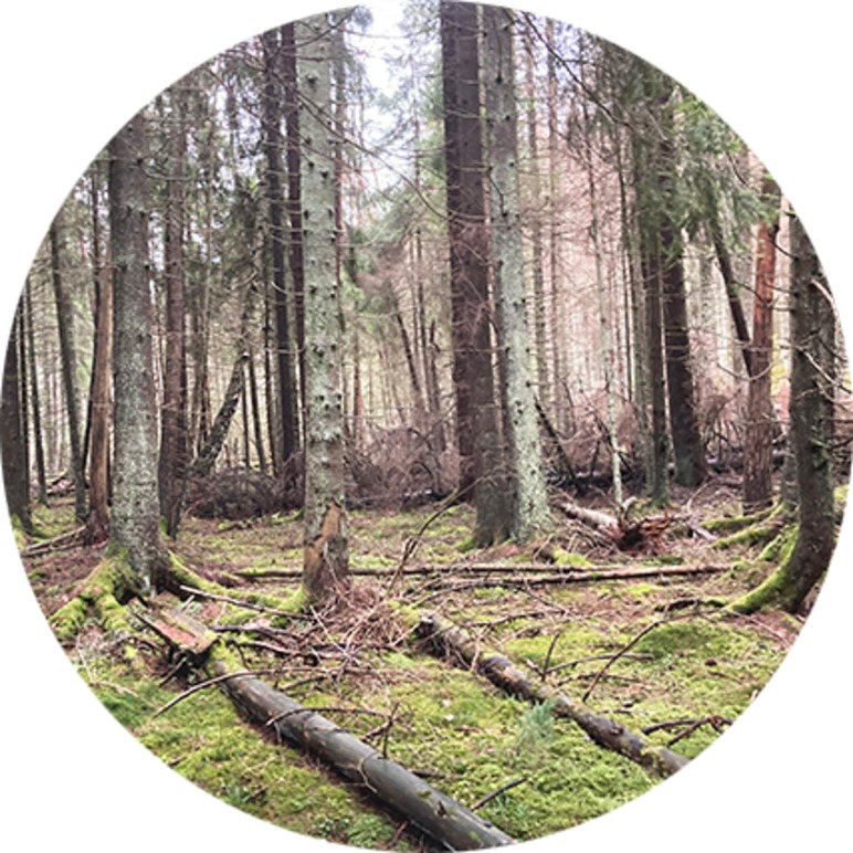 Images Vårdförbundet Sörmland