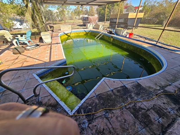 Images Paradise Palm Pools Inc