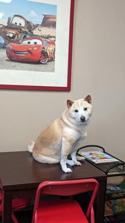 Images Becky Schuler - State Farm Insurance Agent