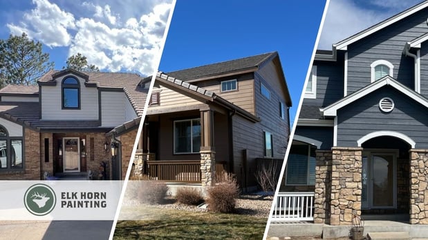 Images Elk Horn Painting - Denver