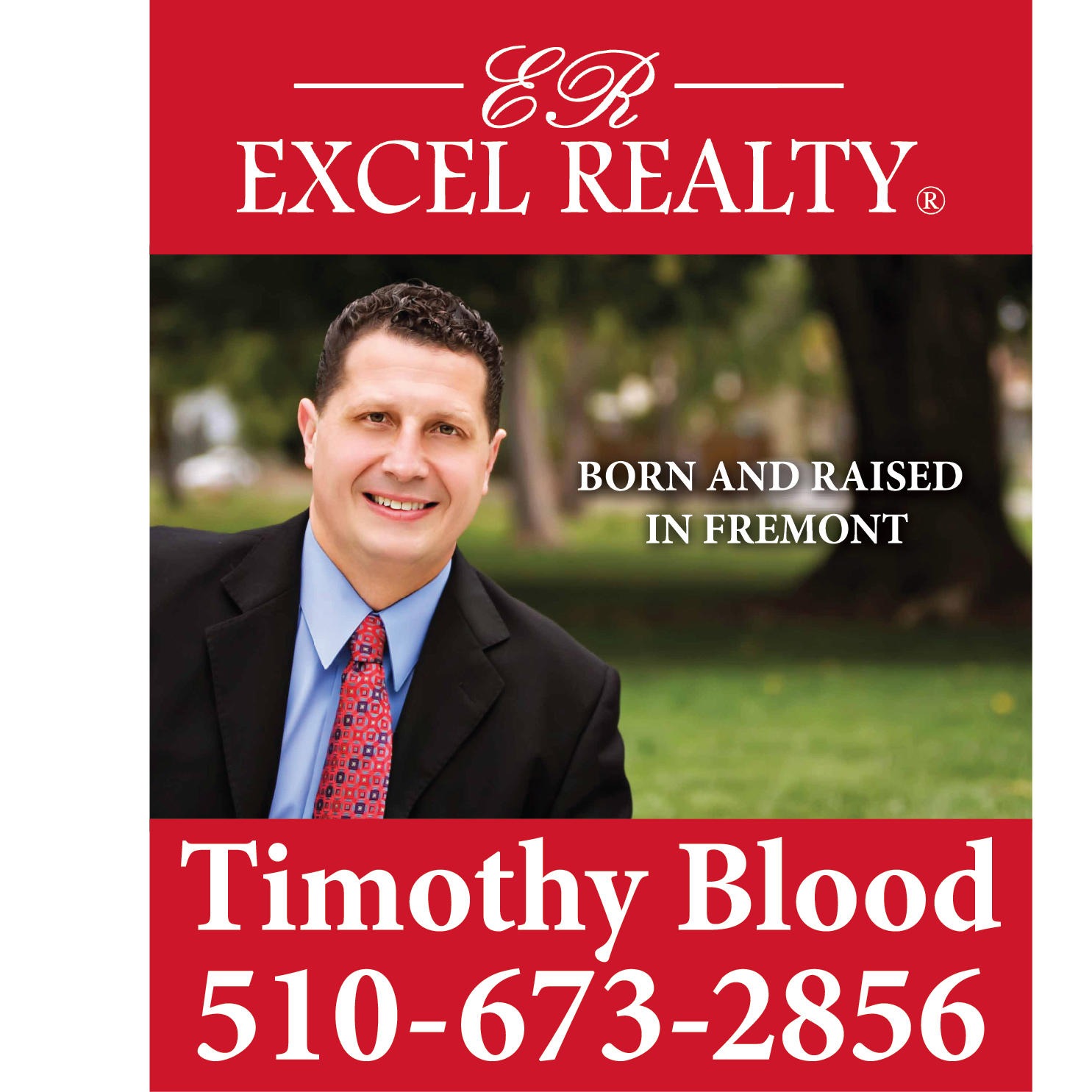 Timothy Blood - Realtor Logo