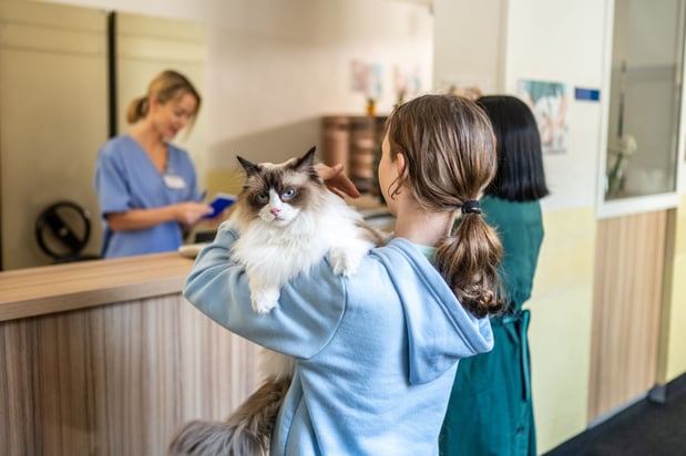 Images Audubon Animal Medical Center