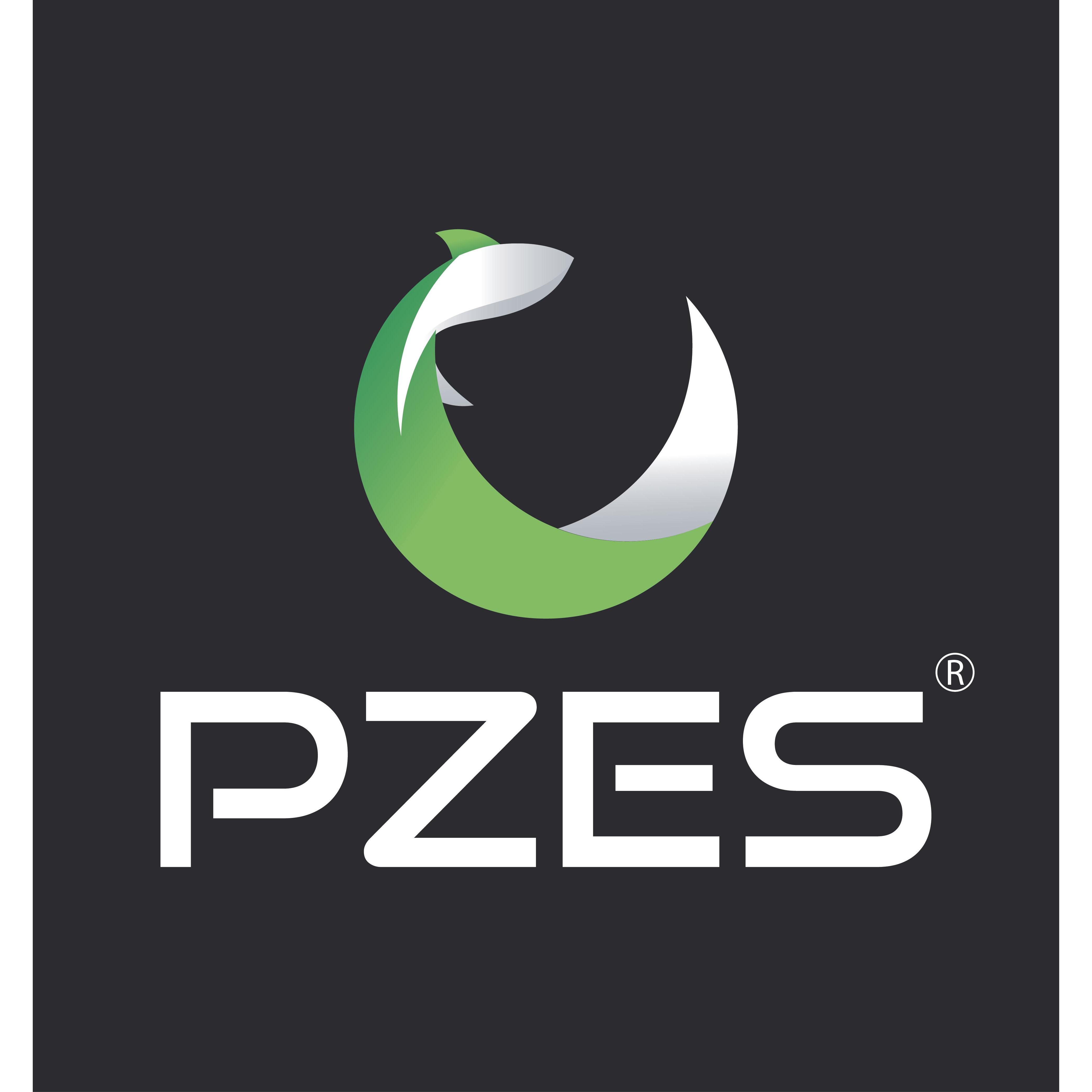 Pzes Online Logo
