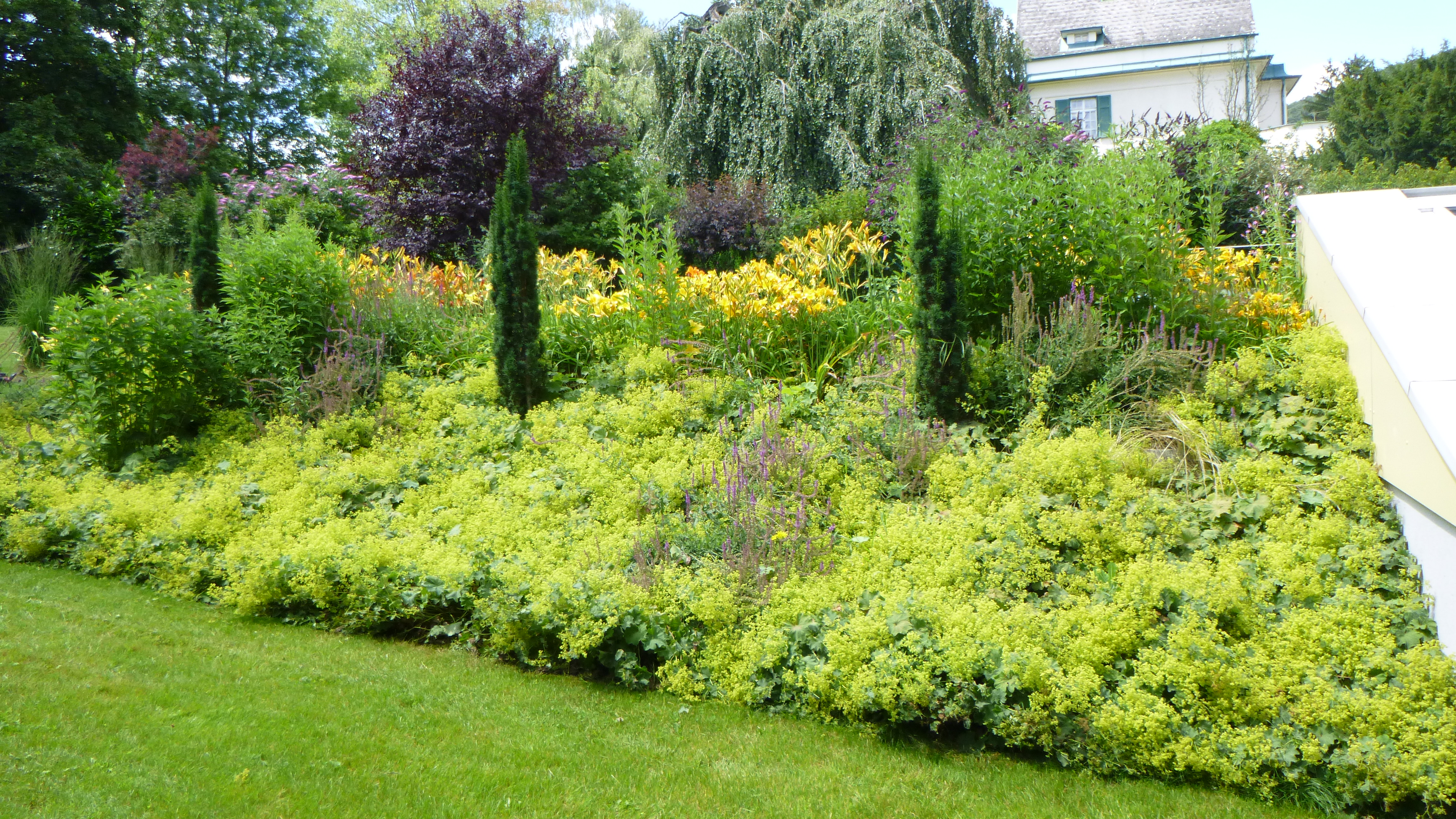 Gartenkunst-Vanghelof Wien 0650 4311611