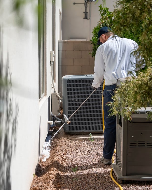 Images Ozone Pest Control