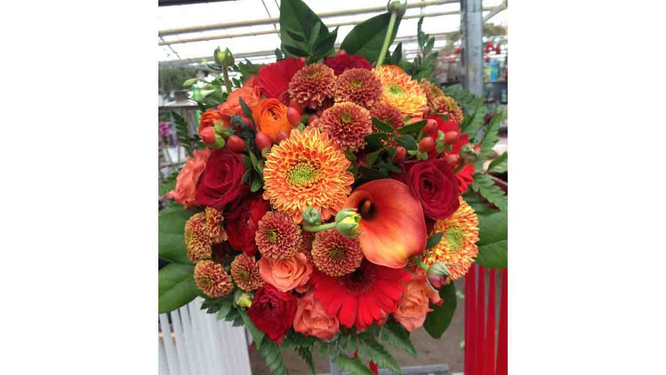 Images Vesterborg Blomster & Gartneri