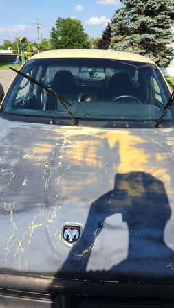 Images Skyview Auto Glass Lathrup Village