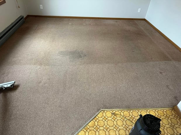 Images Apex Professional Cleaning Systems