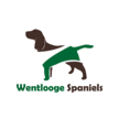 Wentlooge Springer Spaniels - Duramana, NSW 2795 - 0458 588 249 | ShowMeLocal.com
