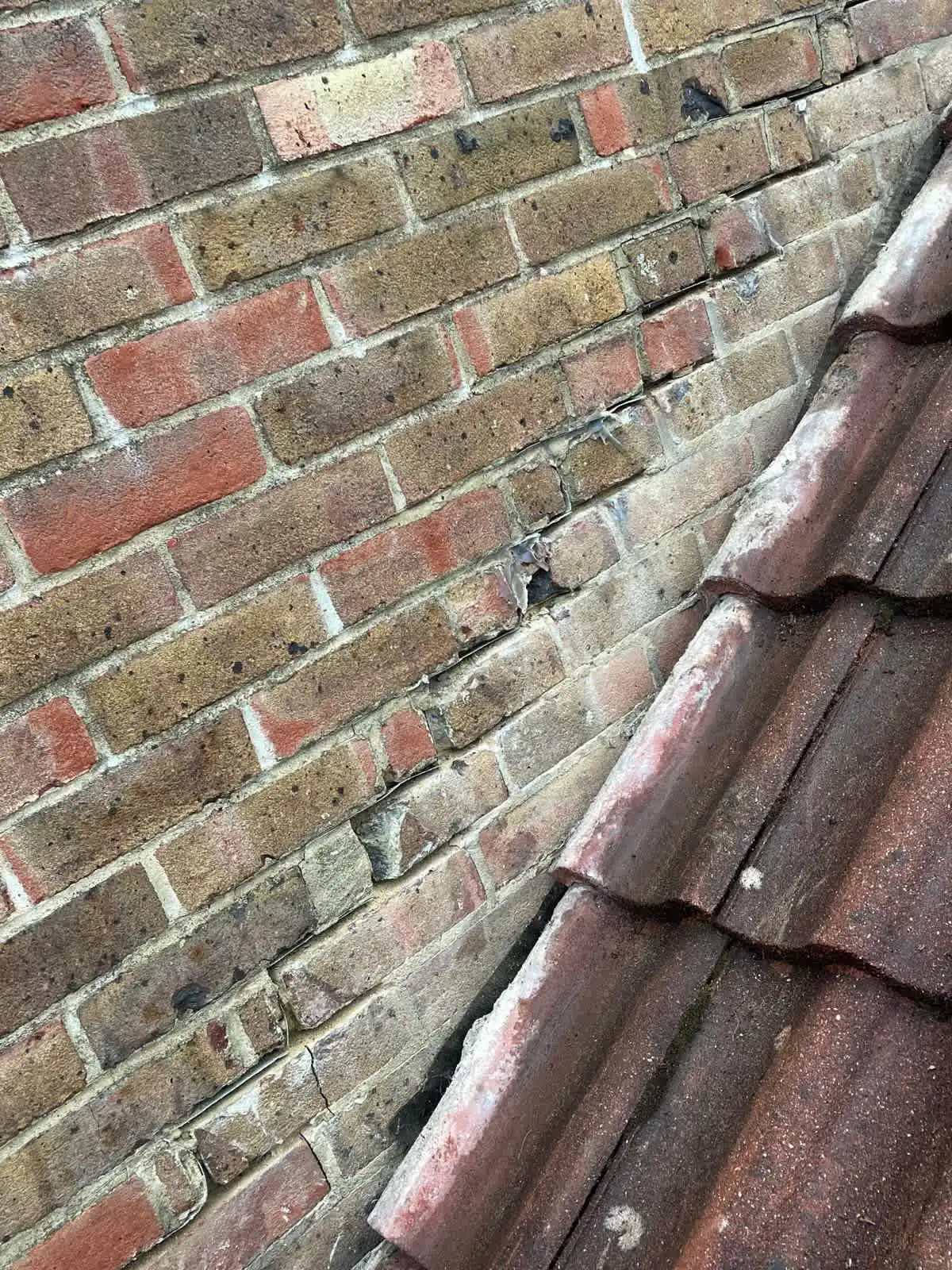 Images Stars Roofing Ltd