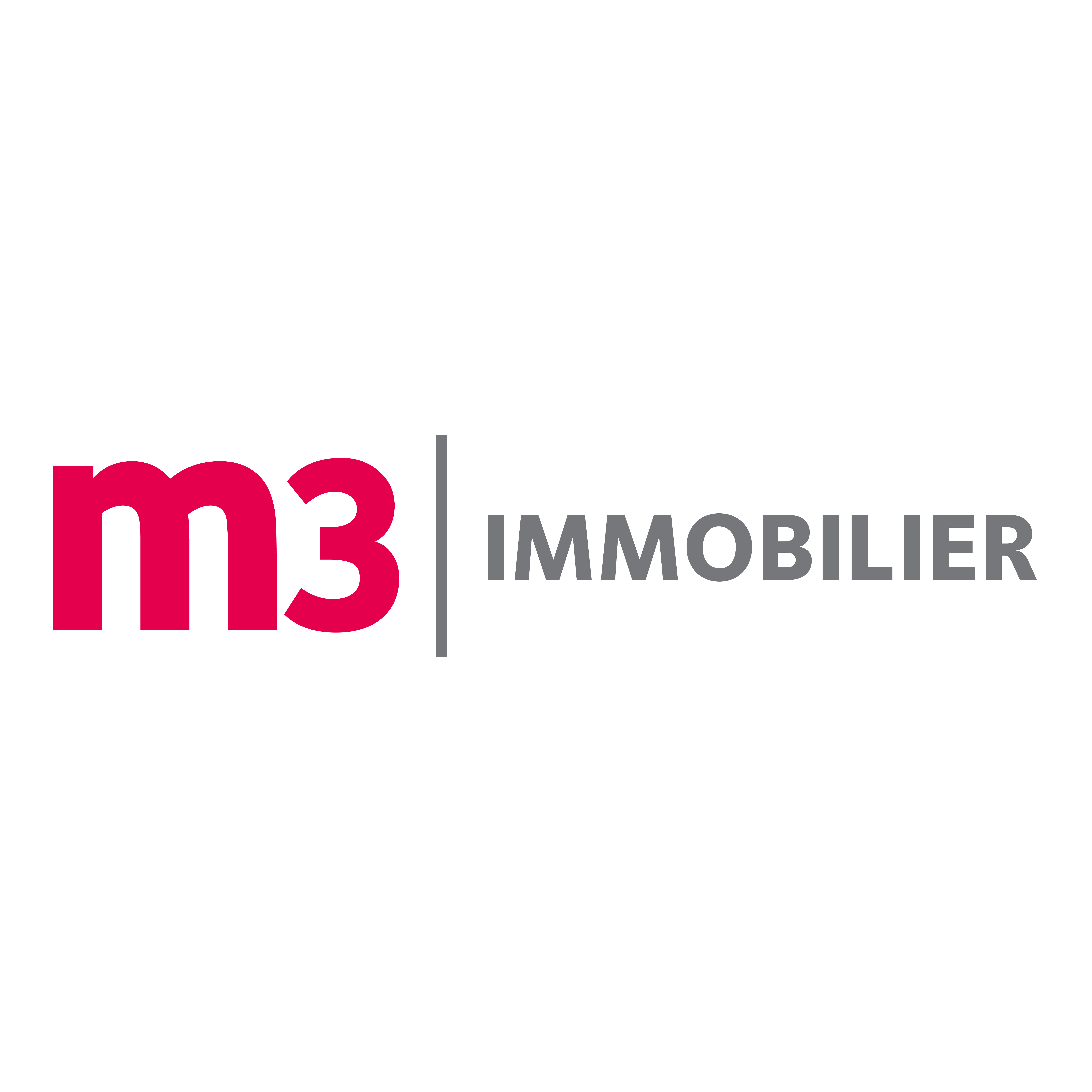 m3 IMMOBILIER Logo