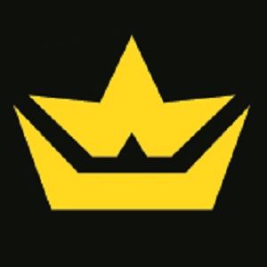 Berg & Gordijn BV Taxibedrijf vd Logo