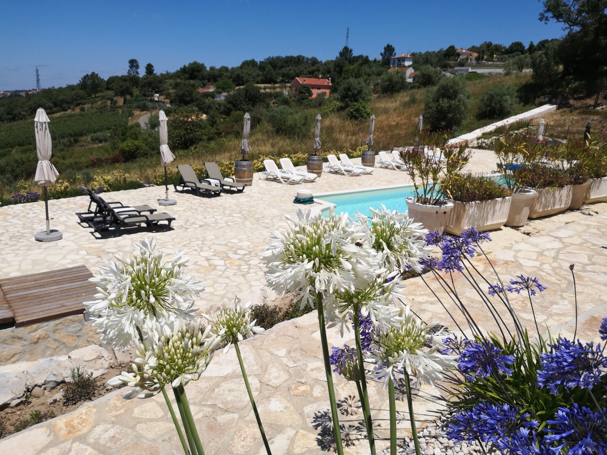 Images The Olive Hill Guesthouse