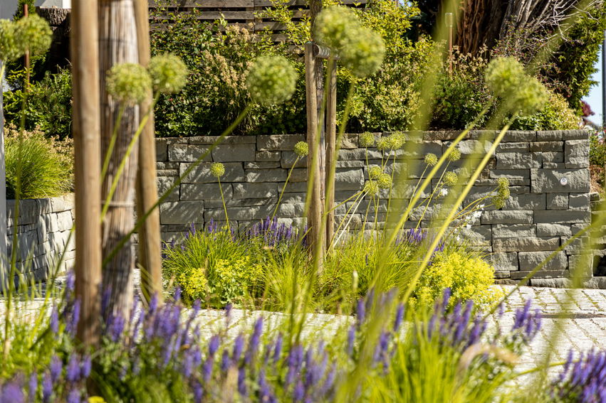 Bilder Popp Gartenbau AG