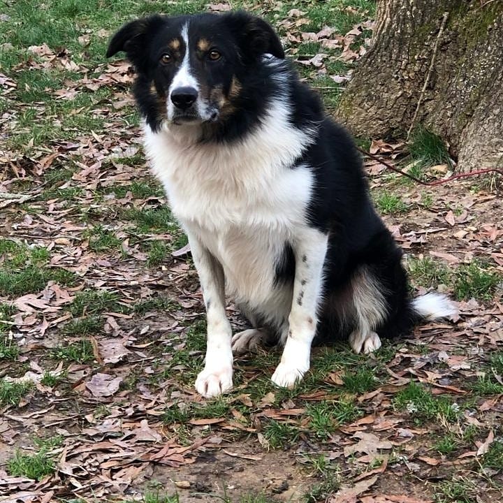 Images Pond Wiser Inc