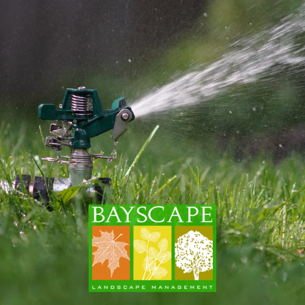 Images Bayscape Landscape Management