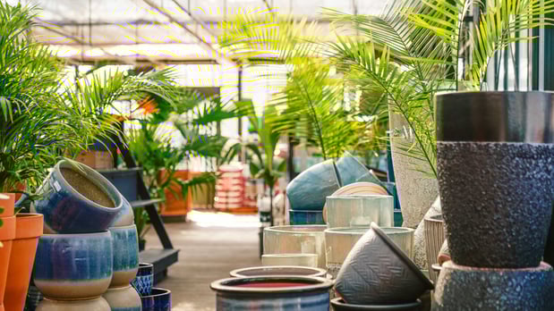 Images Mahoney's Garden Center