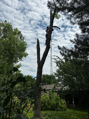 Images BRW Landscaping