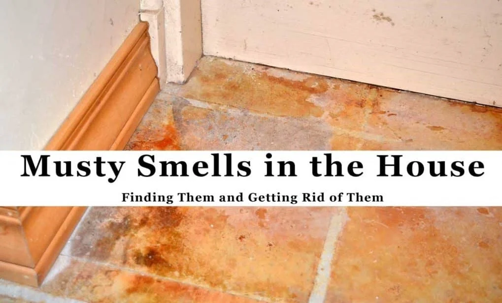 A close-up shot of a floor corner in a house, featuring a wooden baseboard against a white wall, and a tiled floor with visible water stains and discoloration, suggesting mold or mildew. Overlayed text reads "Musty Smells in the House" with a subtitle "Finding Them and Getting Rid of Them".